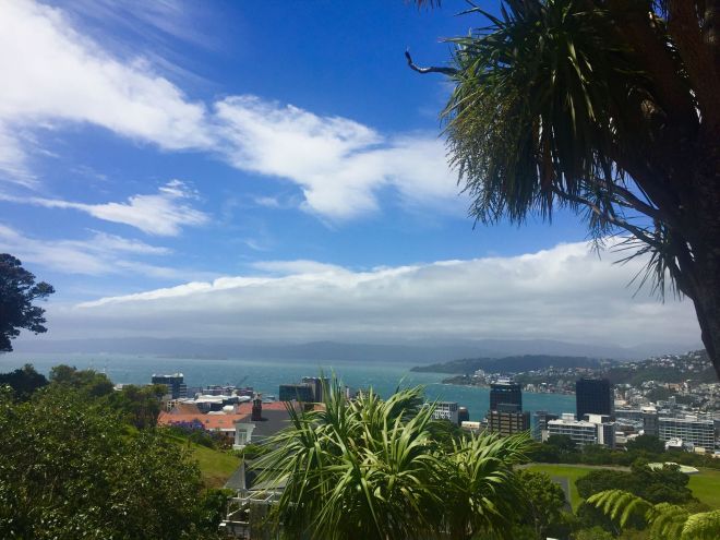 16179530_10155000111657220_6464316176164157268_o