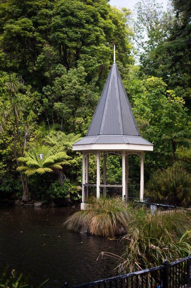 16402764_10155000524052220_5215296586059865835_o