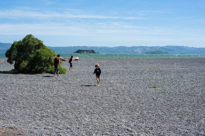 16586927_10155031272107220_5141361492196166478_o