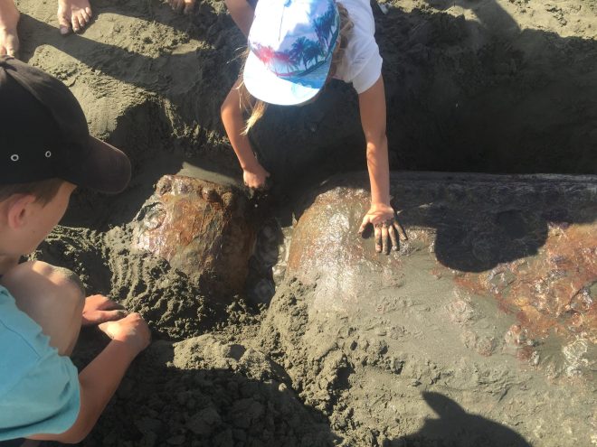 16904935_10155085803757220_2416291077200930976_o (1)