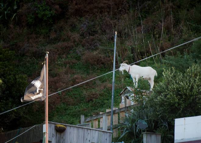 17917740_10155244767967220_8784187007303473474_o