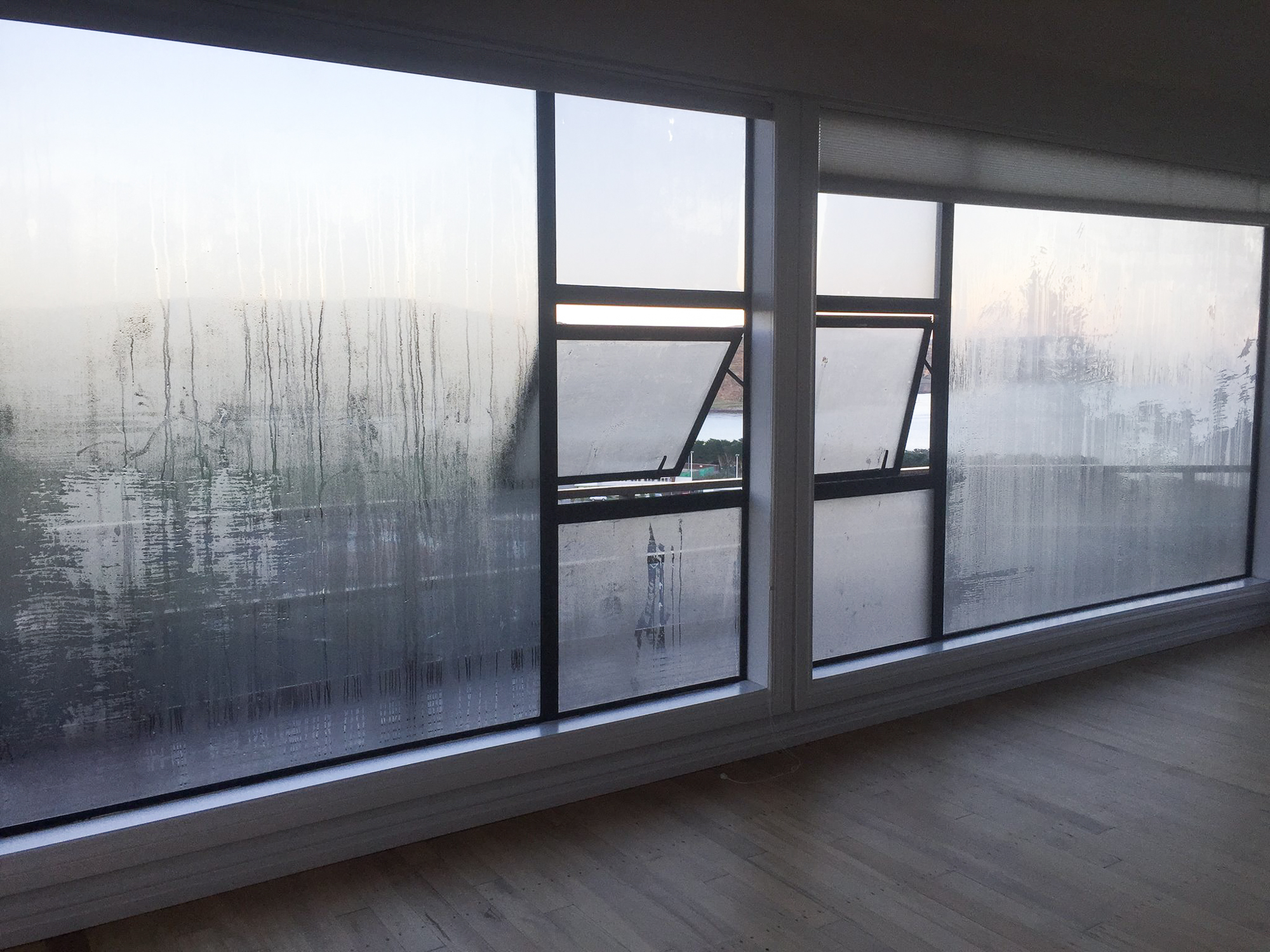 17761245_10155222563482220_2029408652327474438_o