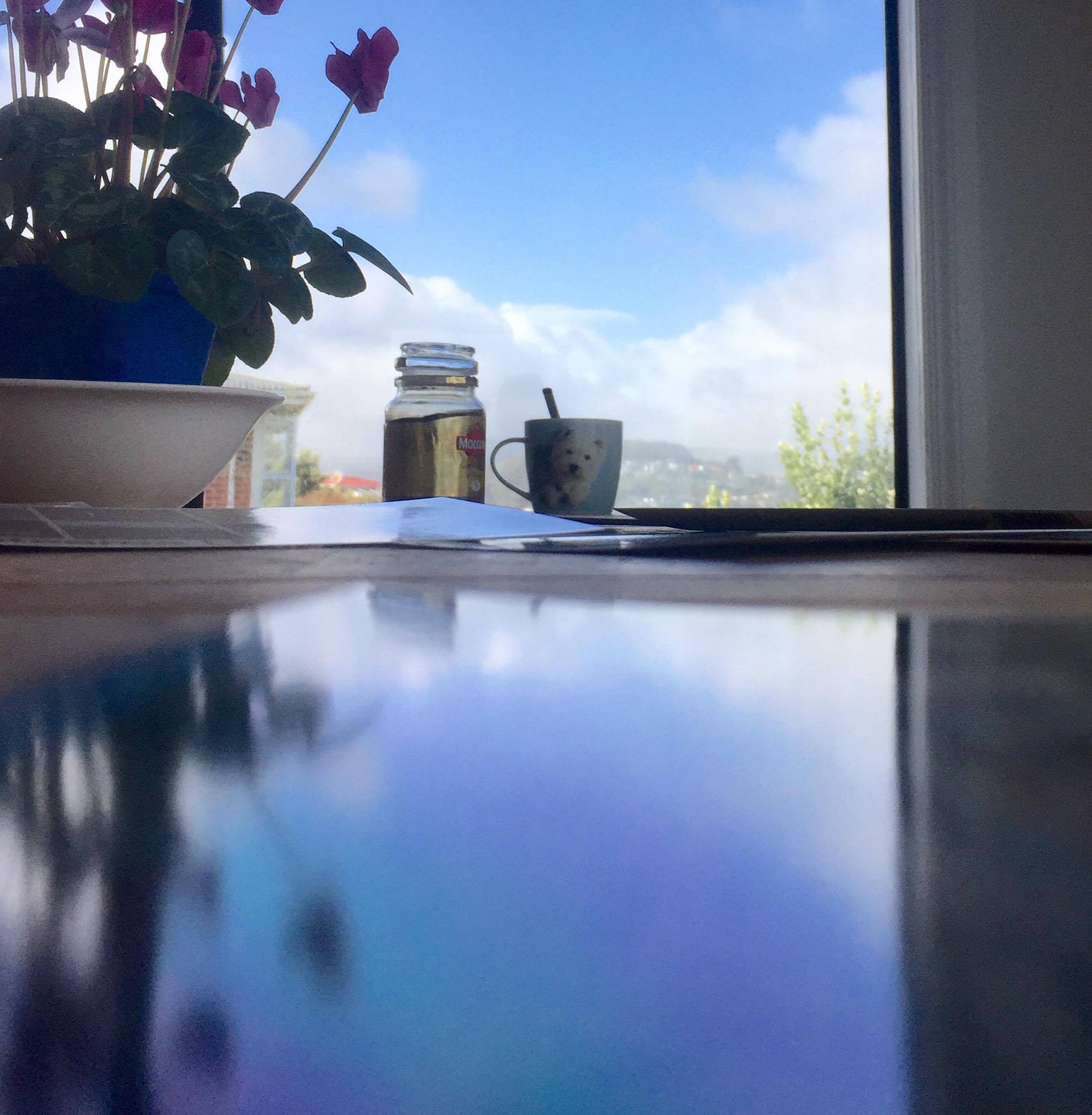 21392793_10155715085917220_1283507180_o