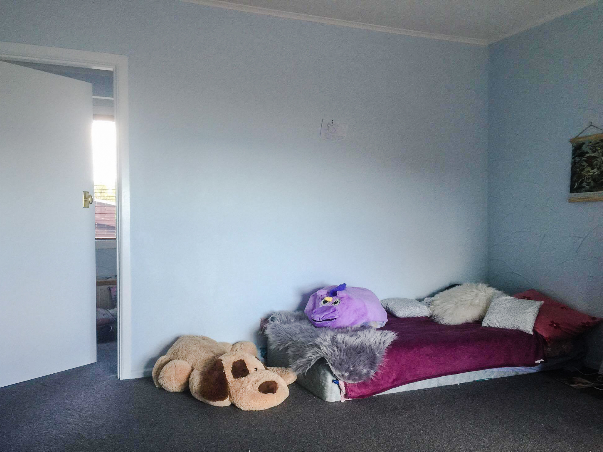 21729807_10155733985582220_1547088469_o