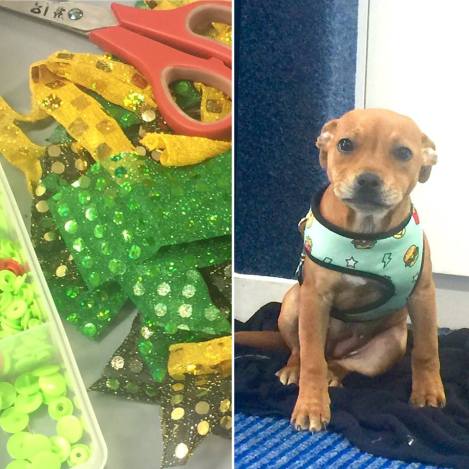 38612172_10156623104997220_8082371050769219584_n