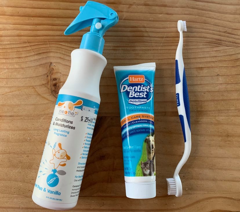 93350056_1507504259410312_8453650310420758528_n