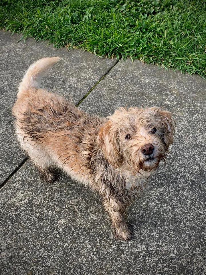 94030920_212850713493741_6968933176219533312_n