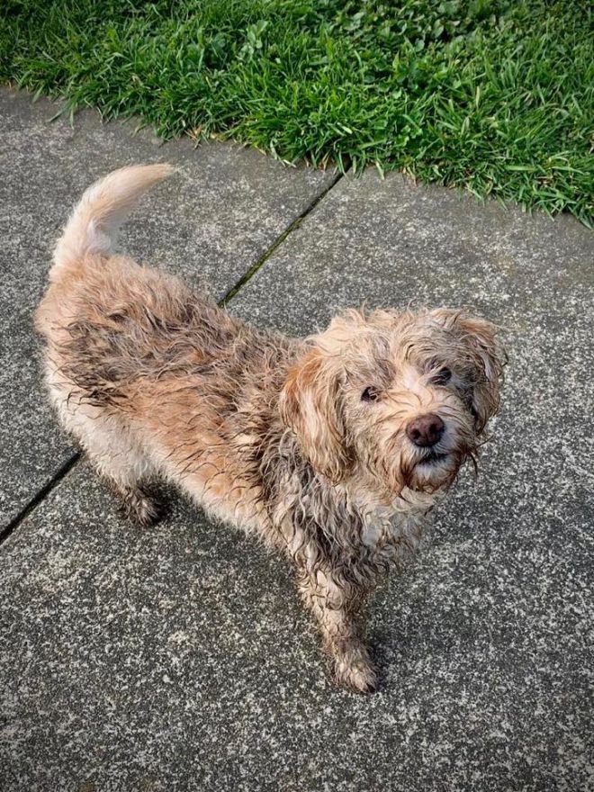 94030920_212850713493741_6968933176219533312_n