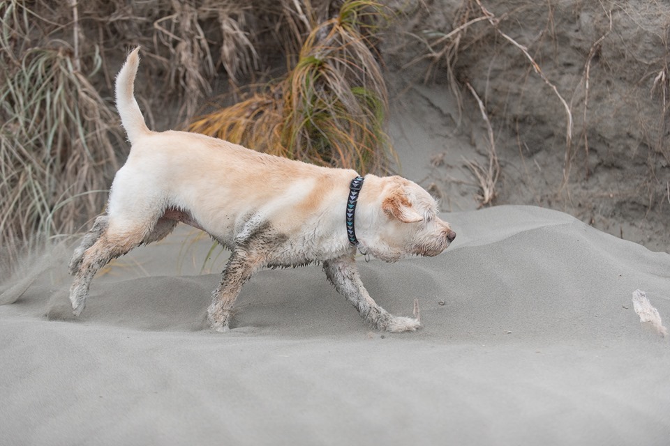 94122275_159958195327079_8626968149373222912_n