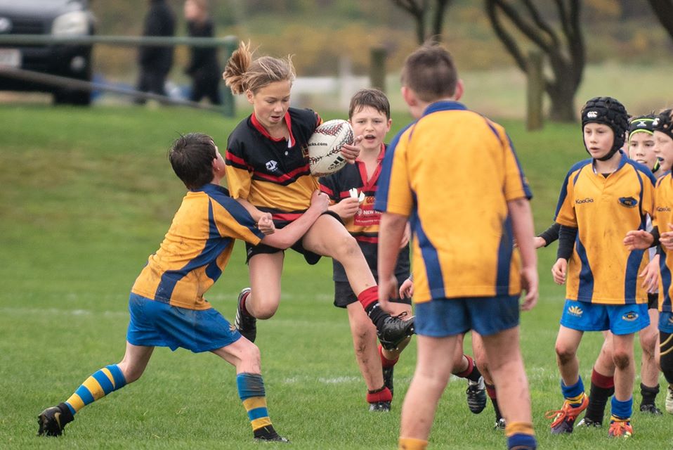 67961787_10157533408112220_4008675418977599488_o